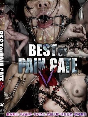BEST OF PAIN GATE