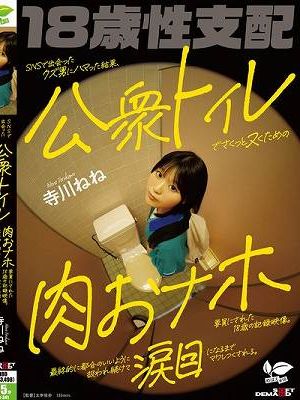 SNSで出会ったクズ男にハマった結果、公衆トイレでさくっとヌくための肉おナホ要員にされた18歳の記録映像。最終的に都合のいいように扱われ続けて涙目になるまでマワしつくされる。 寺川ねね