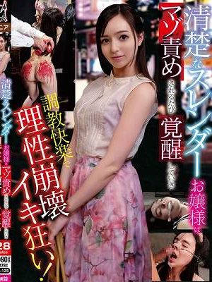 清楚なスレンダーお嬢様はマゾ責めされるたび覚醒していき調教快楽で理性崩壊イキ狂い！ 西田カリナ