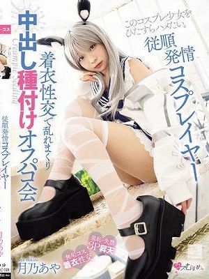 従順発情コスプレイヤー 着衣性交で乱れまくり中出し種付けオフパコ会 月乃あや