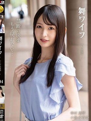 舞ワイフ ～セレブ倶楽部～ 204