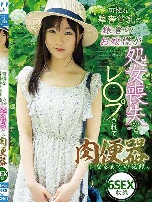 可憐な華奢貧乳の鎌倉のお嬢様が処女喪失からレ〇プされて肉便器になるまでの記録。6SEX収録