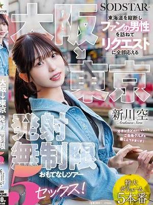 大阪→東京 東海道を縦断しファンの男性を訪ねてリクエストに全部応える発射無制限おもてなしツアー 5セックス！ 新川空　
