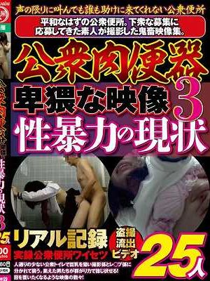 公衆肉便器 卑猥な映像 性暴力の現状3 25人　