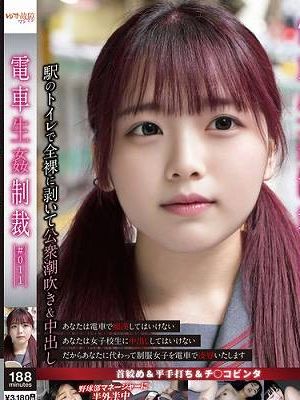 電車生姦制裁 ＃011　
