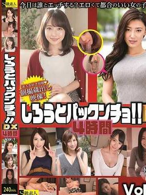 しろうとパックンチョ！！DX 4時間 Vol.1 お互いの欲求を満たしあう！セフレとのえちえちハメ撮り　